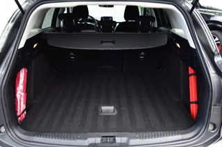 Ford Focus – thumbnail 12