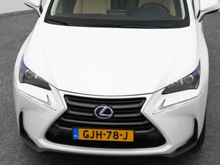 Lexus NX – thumbnail 18