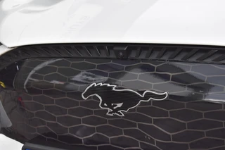 Ford Mustang Mach-E – thumbnail 41