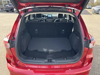 Ford Kuga – thumbnail 8