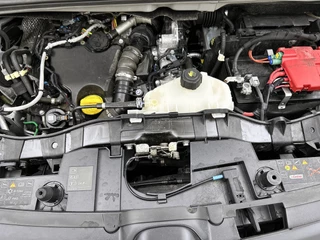 Renault Kangoo – thumbnail 17