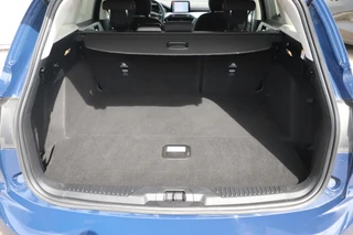 Ford Focus – thumbnail 8