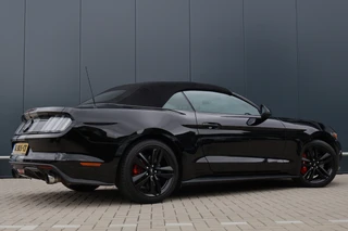 Ford Mustang – thumbnail 7