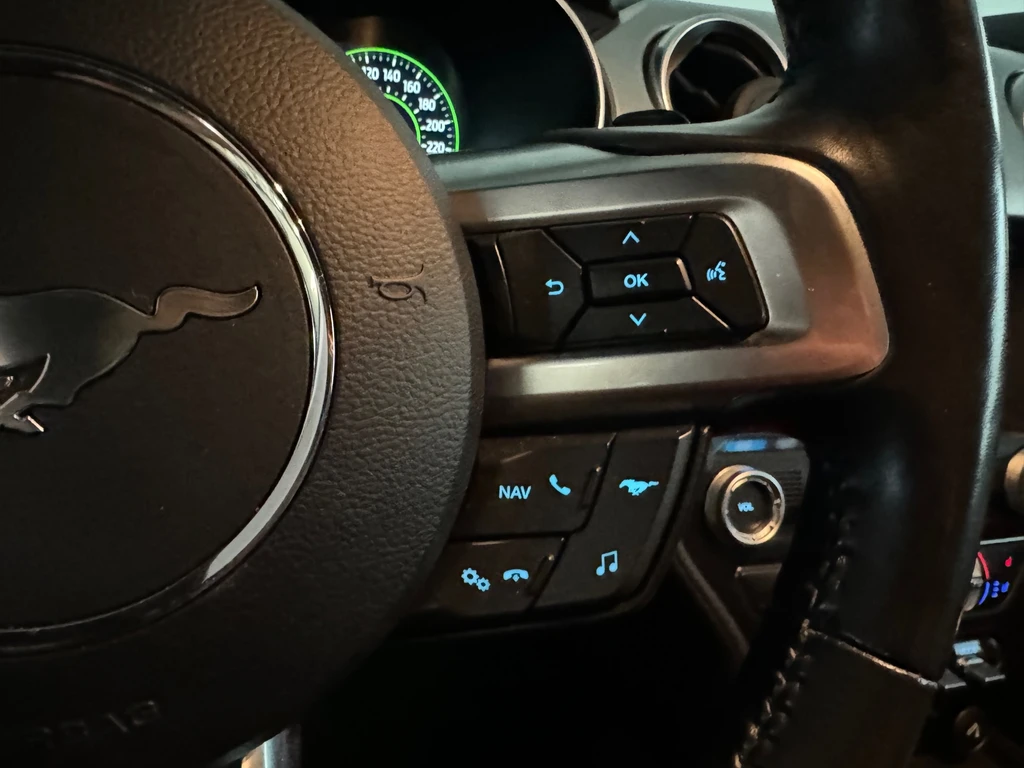 Ford Mustang – foto 20