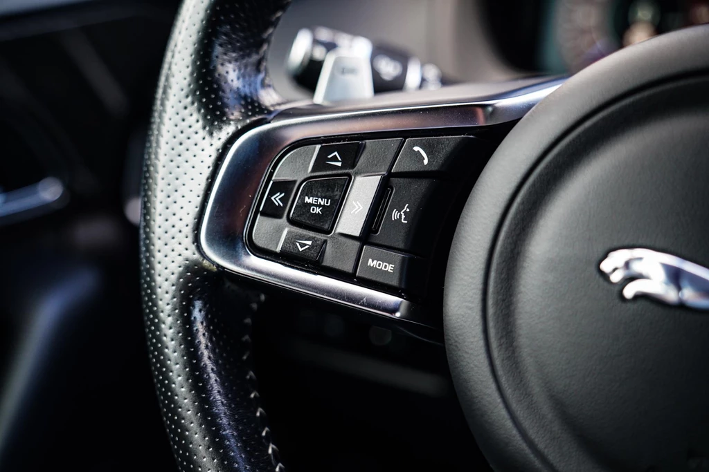 Jaguar F-PACE – foto 95