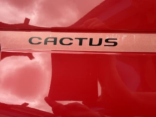 Citroën C4 Cactus – thumbnail 13