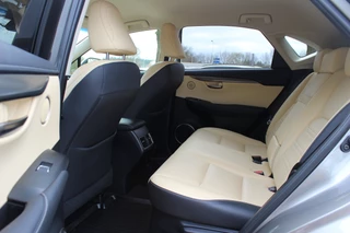 Lexus NX – thumbnail 13