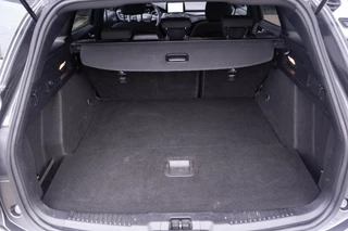 Ford Focus – thumbnail 12