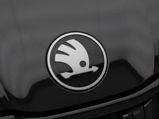 Škoda Kodiaq – thumbnail 11