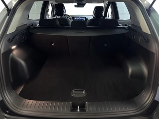 Kia Sportage – thumbnail 16