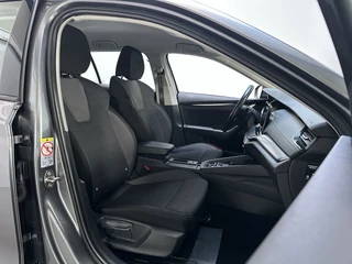 Škoda Octavia – thumbnail 11