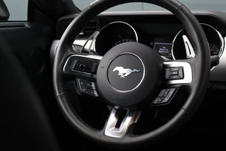 Ford Mustang – thumbnail 23