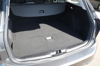 Ford Focus – thumbnail 9