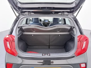 Kia Picanto – thumbnail 39