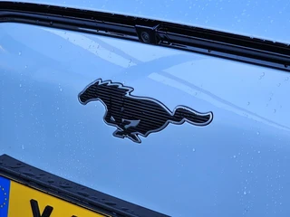 Ford Mustang Mach-E – thumbnail 12