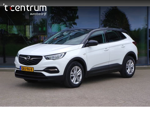 Opel Grandland X 1.2 Turbo 130 PK Edition, Camera, Stoelverwarming, Navigatie