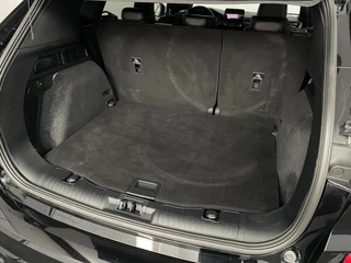 Ford Kuga – thumbnail 13