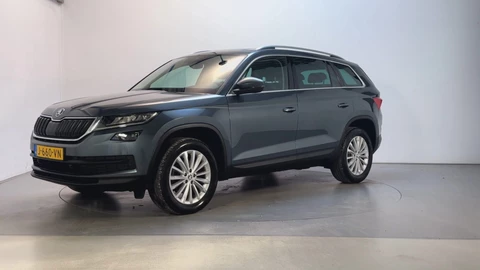 Skoda Kodiaq 1.5 TSI 150pk DSG Business Edition Panoramadak Camera Trekhaak Stoelverwarming