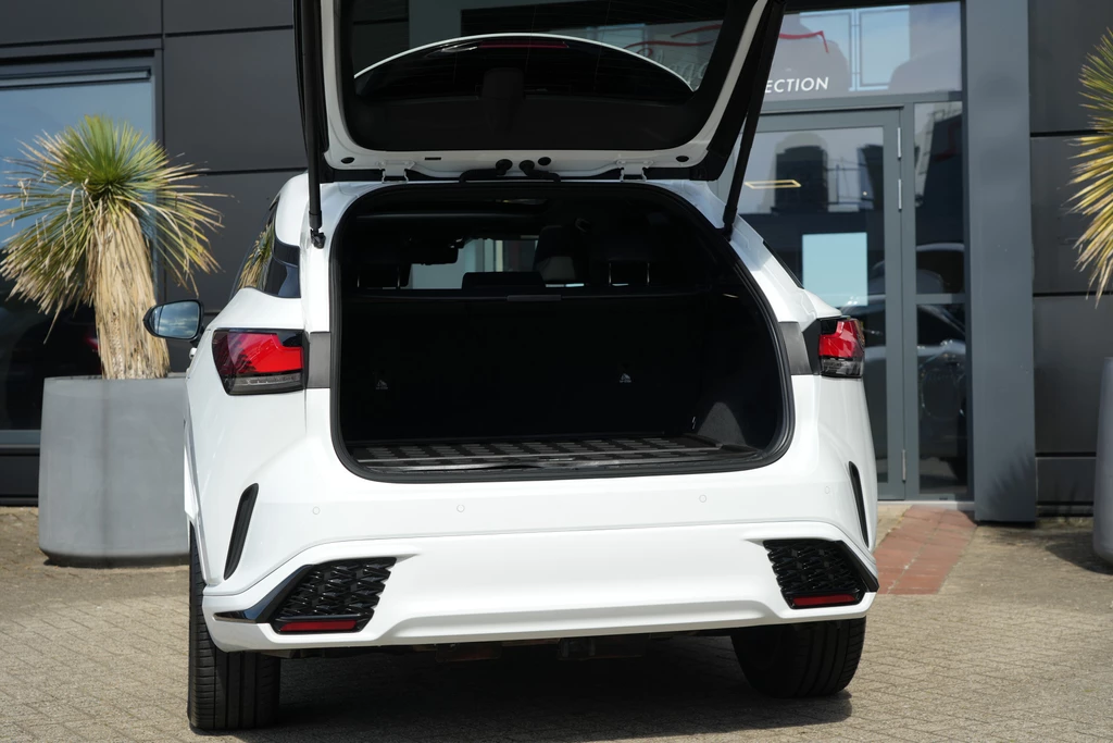 Lexus RX – foto 39