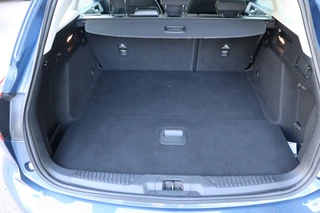 Ford Focus – thumbnail 30