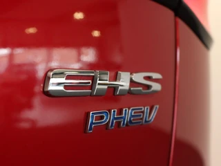 MG EHS – thumbnail 40