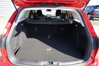 Ford Focus – thumbnail 15