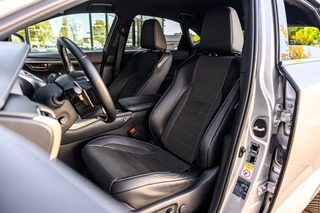 Lexus NX – thumbnail 20