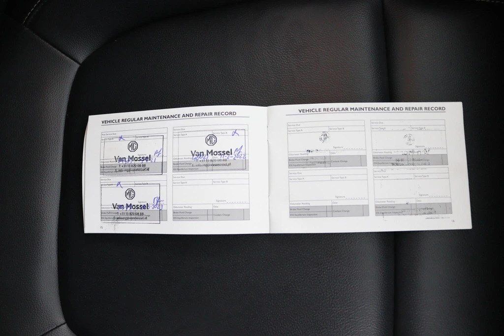 MG ZS EV – foto 31