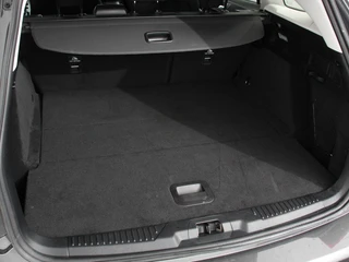 Ford Focus – thumbnail 34