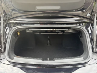 Volkswagen Beetle – thumbnail 33