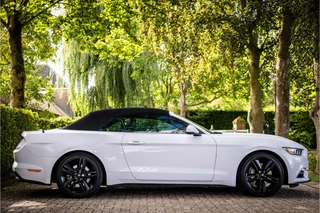 Ford Mustang – thumbnail 9