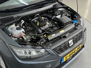 SEAT Ibiza – thumbnail 19