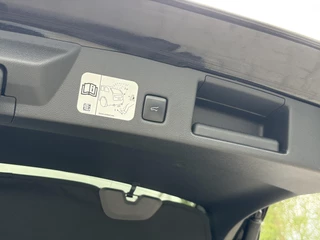 Ford Kuga – thumbnail 31