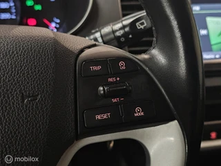 Kia Picanto – thumbnail 19