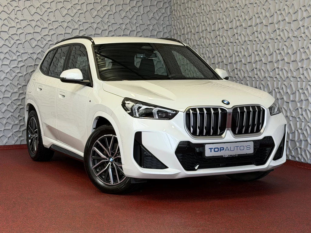 BMW X1 – foto 12