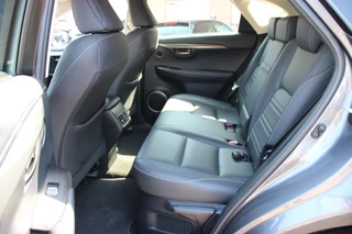 Lexus NX – thumbnail 12