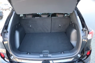Ford Kuga – thumbnail 31