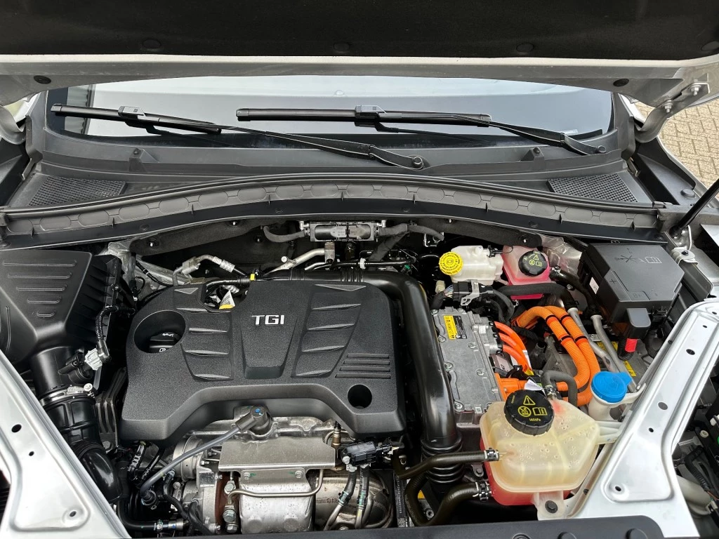 MG EHS – foto 31