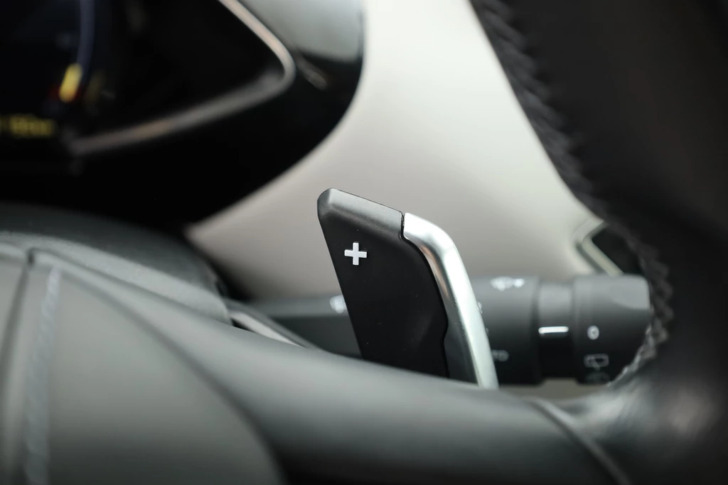 DS DS 3 – foto 17