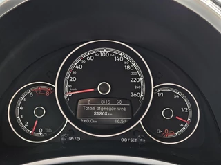 Volkswagen Beetle – thumbnail 15