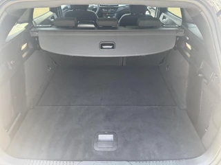 Ford Focus – thumbnail 8