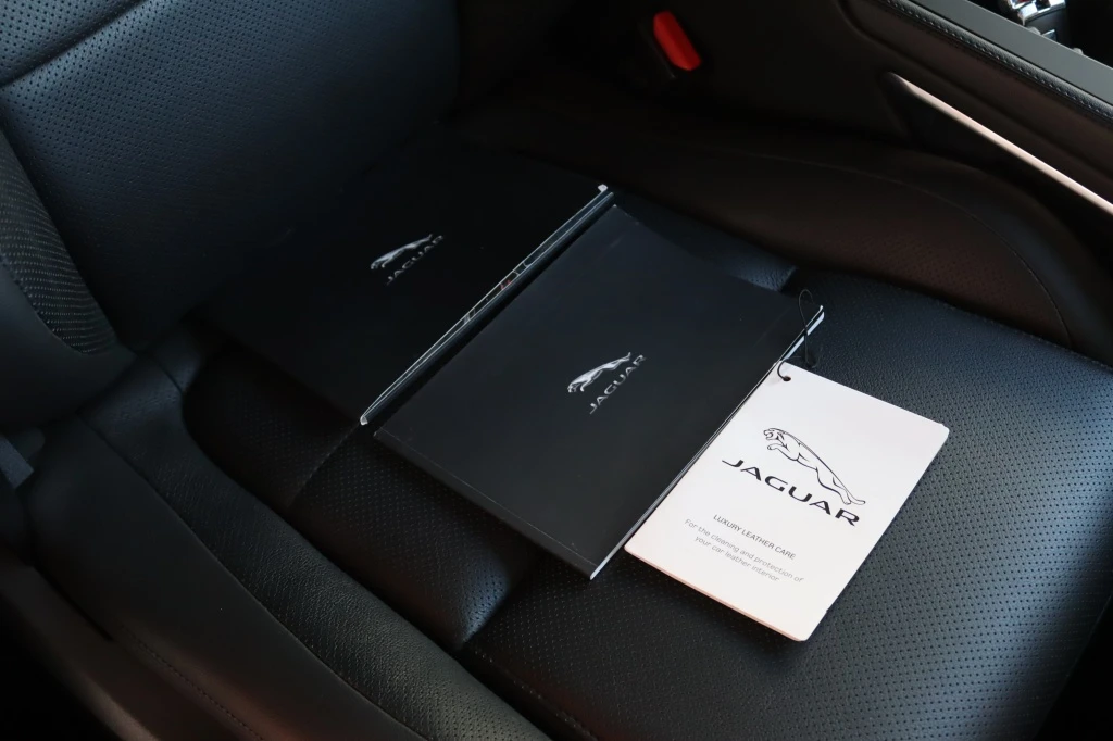 Jaguar F-PACE – foto 15