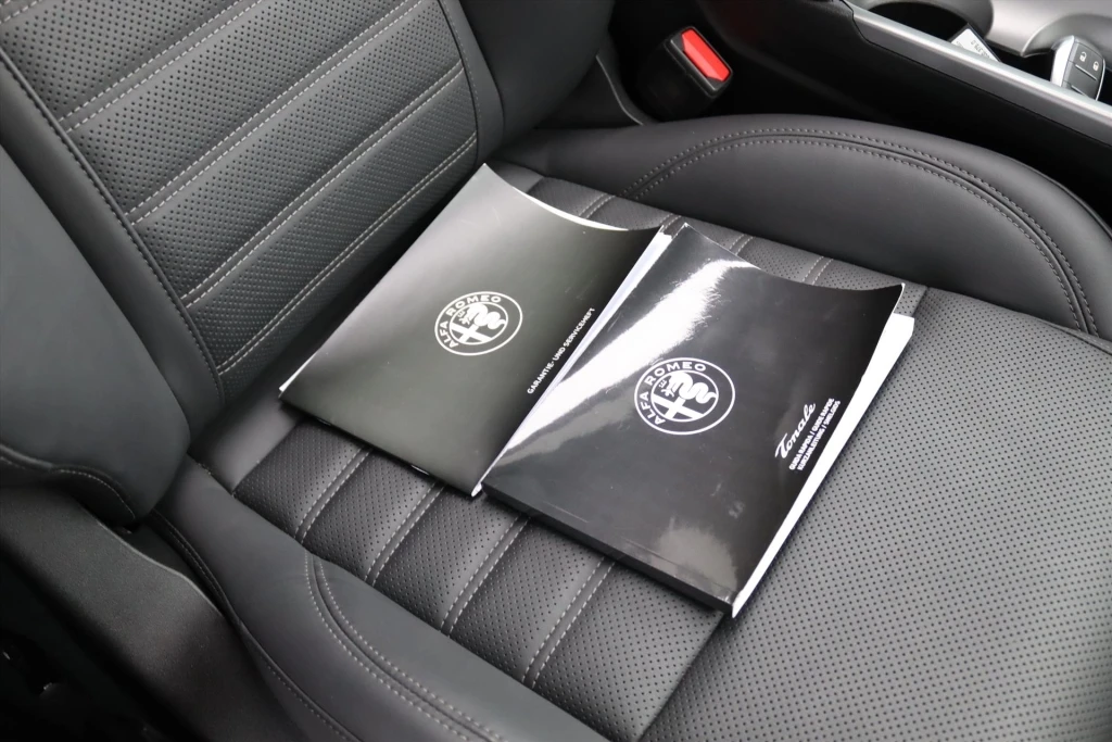 Alfa Romeo Tonale – foto 16