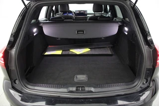 Ford Focus – thumbnail 21