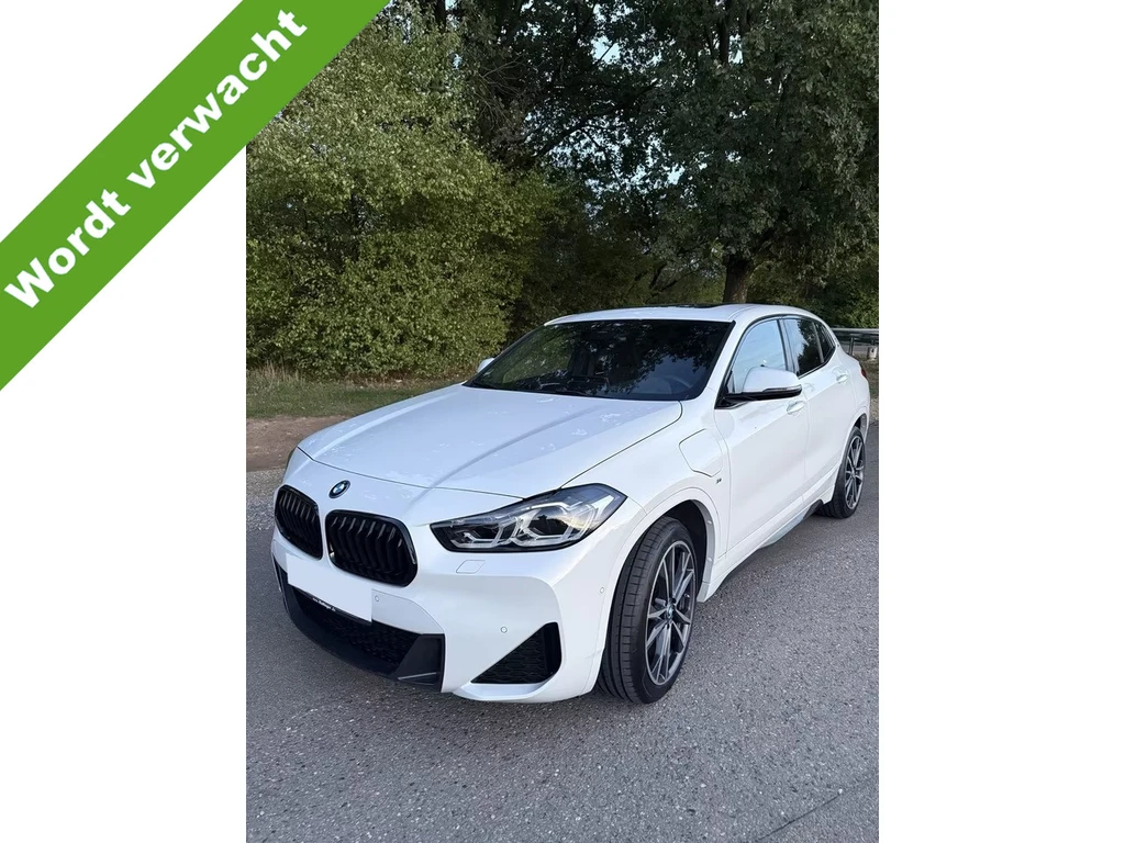 BMW X2 – foto 1