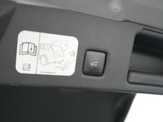 Ford Kuga – thumbnail 30