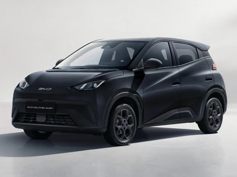 BYD DOLPHIN COMFORT 43 kWh EV Rijklaar ACTIE