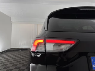Ford Kuga – thumbnail 31