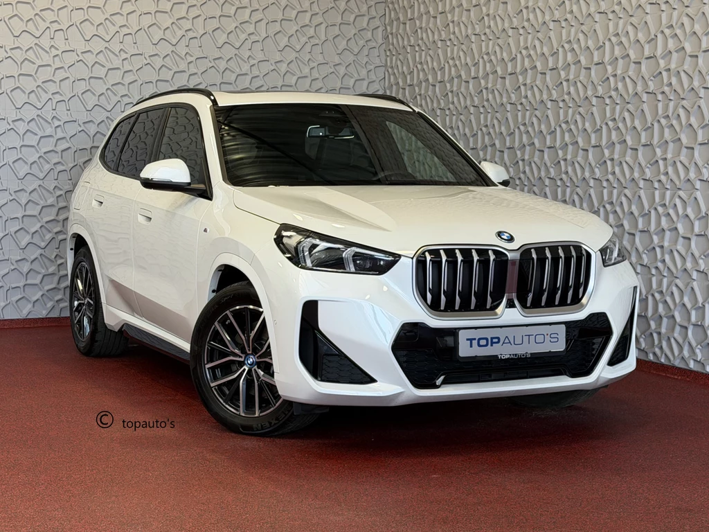 BMW X1 – foto 8