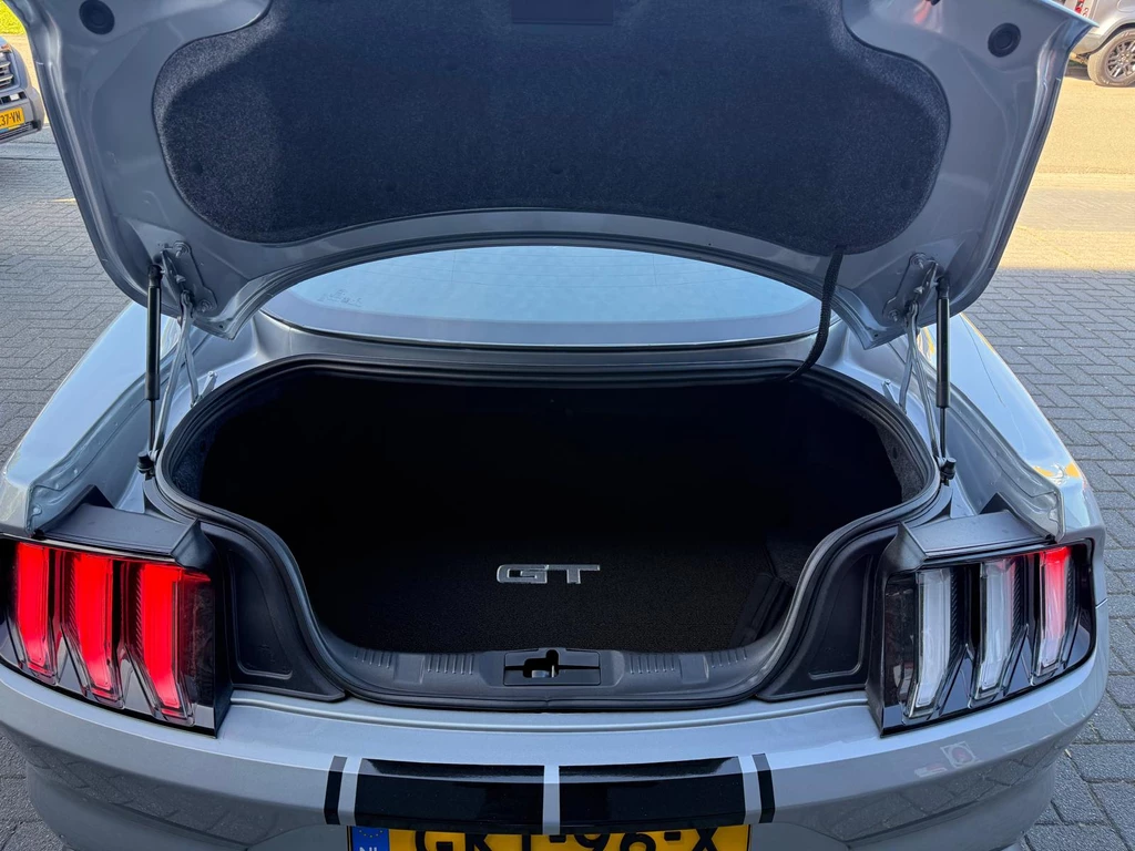 Ford Mustang – foto 12